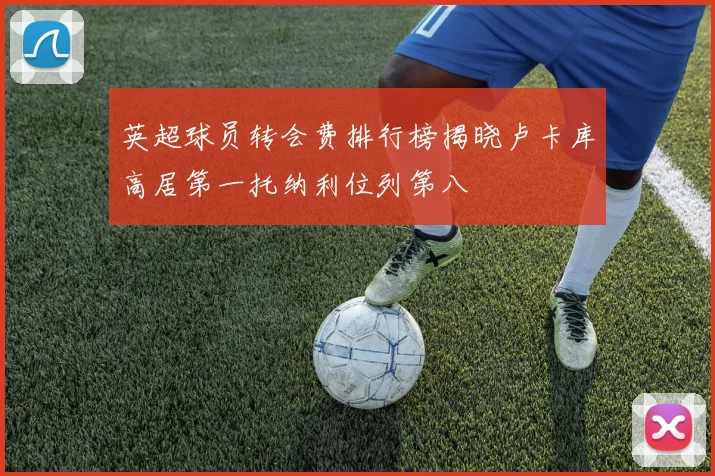 英超球员转会费排行榜揭晓卢卡库高居第一托纳利位列第八